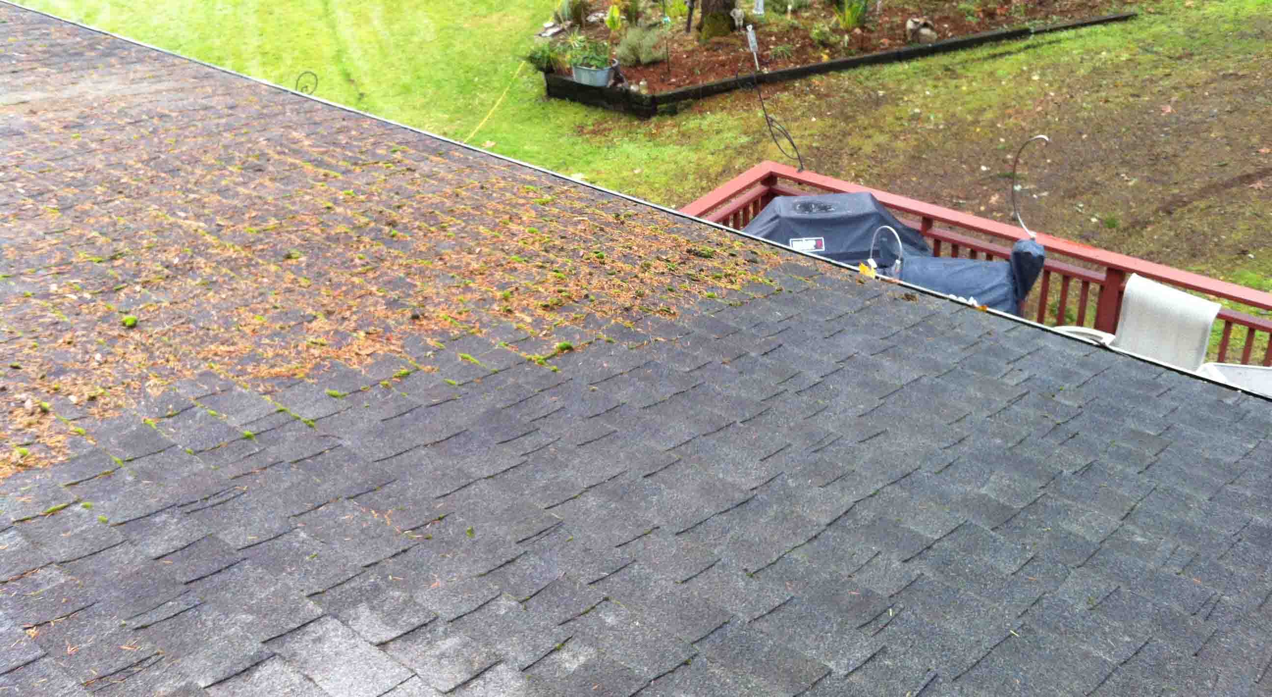 Roof Moss Cleaning Duvall