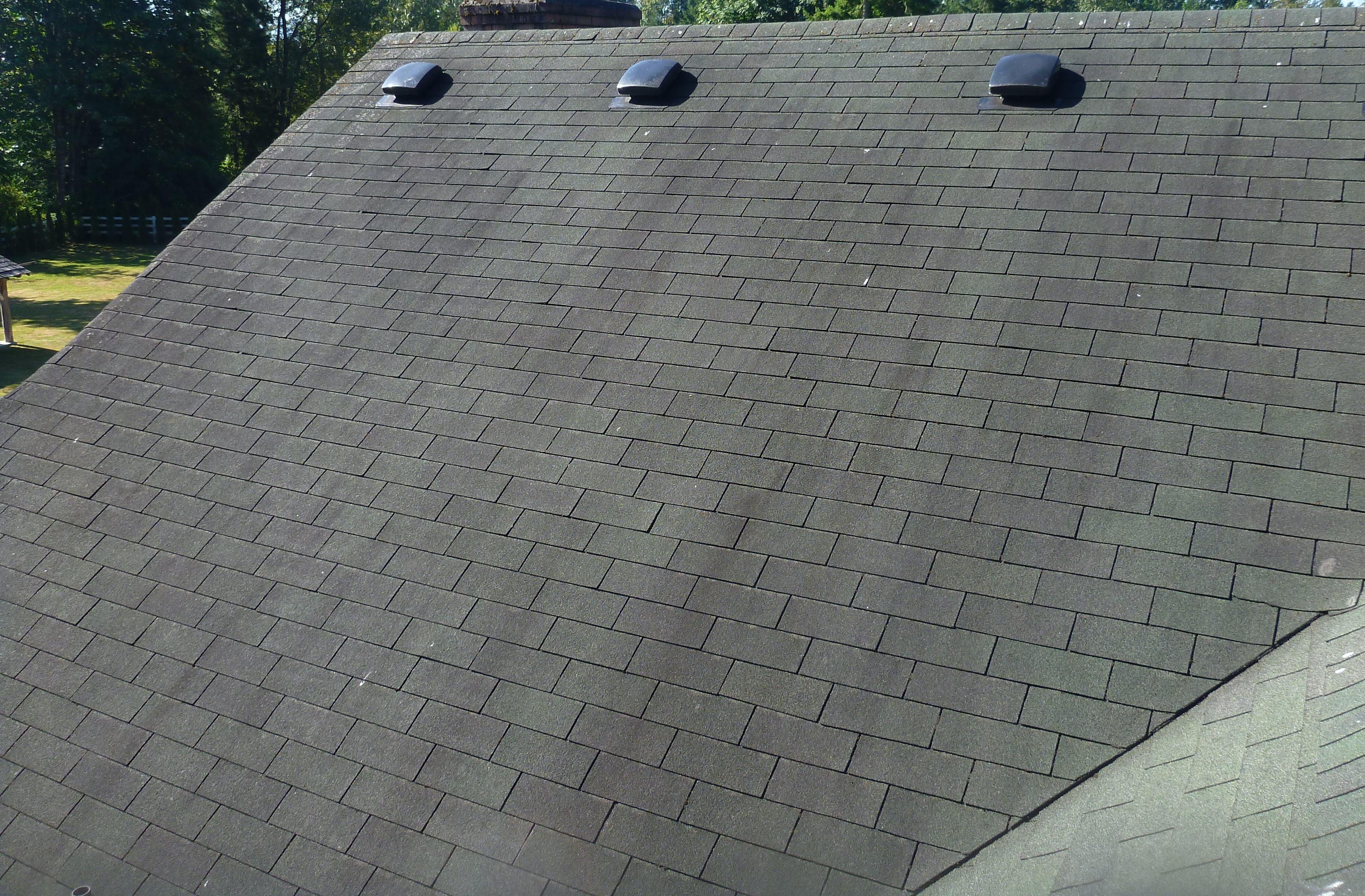 Roof Moss Cleaning Duvall